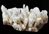 Selenite Crystals on Matrix - Mexico #45195-1